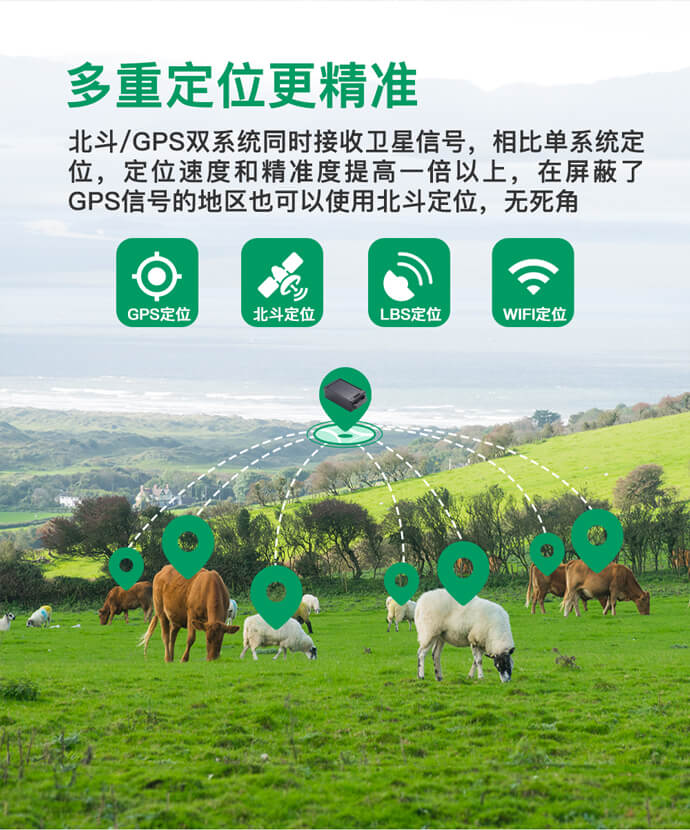 畜牧業牛羊馬定位器